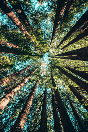 The Environmental Impact of Minoxidil: Green Alternatives for Healthy Hair